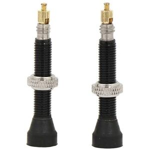 Massi Presta Ventiel - 2 Stuks - Ventieltype Massi Presta Ventiel - 2 Stuks - Ventieltype