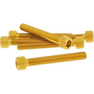 VICMA M6x45 Zeskantkop Aluminium Schroevenset - Goud VICMA M6x45 Zeskantkop Aluminium Schroevenset - Goud