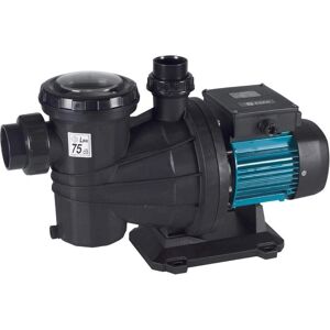 Espa Argent 22 M - 1,5 CV - 22 m3/h - Pompe piscine - Publicité Espa Argent 22 M - 1,5 CV - 22 m3/h - Pompe piscine - Publicité