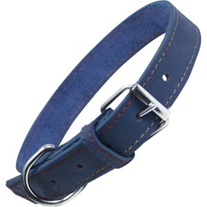 Gloria Oasis Blue Dog Collar - Dog Collar Gloria Oasis Blue Dog Collar - Dog Collar