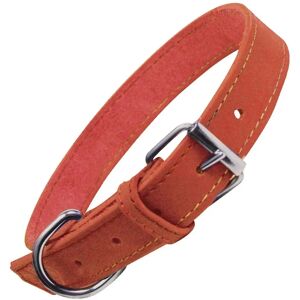 Collier pour Chien Oasis Rouge Gloria PETS - 70 x 3 cm - Boucle - Publicité Collier pour Chien Oasis Rouge Gloria PETS - 70 x 3 cm - Boucle - Publicité