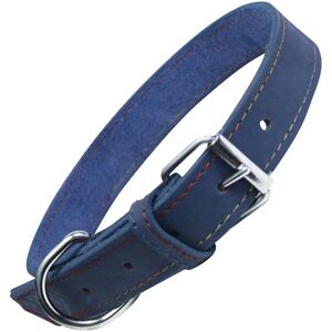 Collier pour Chien Bleu Gloria Oasis - Dog collar - Publicité Collier pour Chien Bleu Gloria Oasis - Dog collar - Publicité