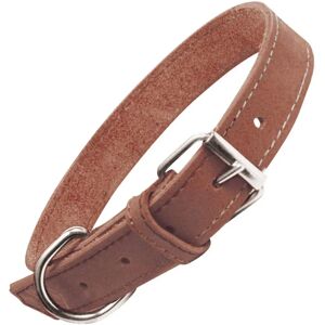 Gloria Oasis Dog Collar - Buckle - 55x2.5cm Gloria Oasis Dog Collar - Buckle - 55x2.5cm