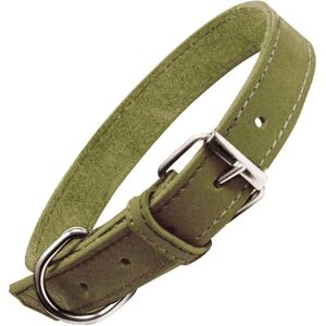 Collier pour Chiens Gloria Oasis Vert - 55 x 2,5 cm - Collier Collier pour Chiens Gloria Oasis Vert - 55 x 2,5 cm - Collier