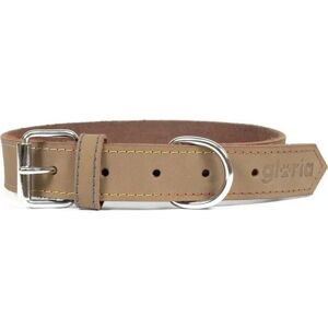 Gloria Oasis White Dog Collar - Medium Gloria Oasis White Dog Collar - Medium
