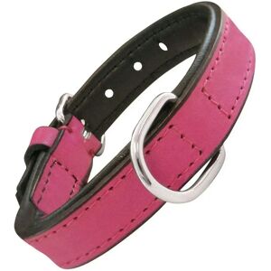 Collier pour Chien Gloria Rembourré - Collier pour Chien Collier pour Chien Gloria Rembourré - Collier pour Chien