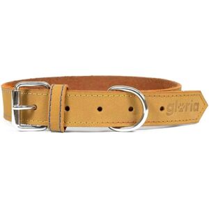 Gloria Oasis Yellow Dog Collar - Adjustable 40cm - Pet Accessory Gloria Oasis Yellow Dog Collar - Adjustable 40cm - Pet Accessory