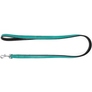 BigBuy Dog Lead Gloria Turquoise - 1.8 x 100 cm BigBuy Dog Lead Gloria Turquoise - 1.8 x 100 cm