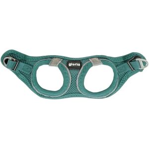 Gloria Trek Star Turquoise Dog Harness - Adjustable, Lightweight Gloria Trek Star Turquoise Dog Harness - Adjustable, Lightweight
