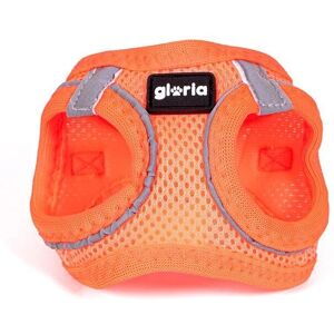 Harnais pour chiens Gloria Trek Star Orange - XXS - Publicité Harnais pour chiens Gloria Trek Star Orange - XXS - Publicité