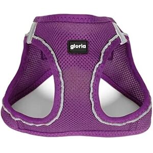 Gloria Air Mesh Trek Star Adjustable Purple Dog Harness - Dog Gloria Air Mesh Trek Star Adjustable Purple Dog Harness - Dog