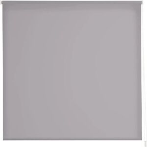 Estoralis Gove Grigio Trasparente Rollino - Tenda a Rullo Estoralis Gove Grigio Trasparente Rollino - Tenda a Rullo