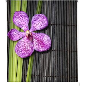 Estoralis Z-1061 - Impresión Digital Translúcida - Estores Enrollables Estoralis Z-1061 - Impresión Digital Translúcida - Estores Enrollables