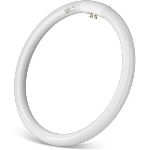 Aigostar LED T9 tubo fluorescente 40W 6500K - Tubo Aigostar LED T9 tubo fluorescente 40W 6500K - Tubo