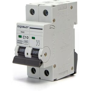 AIGOSTAR 10A 2P curva C Interruttore AIGOSTAR 10A 2P curva C Interruttore