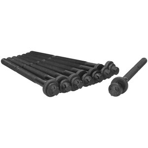 Ajusa Modelo 81049700 - Juego de tornillos de culata para Citroën, Peugeot, Renault Ajusa Modelo 81049700 - Juego de tornillos de culata para Citroën, Peugeot, Renault