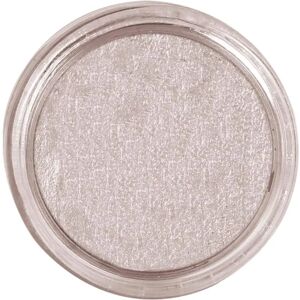 Onbekend merk GUI15582 - Watergebaseerde make-up voor gezicht en lichaam in zilver Onbekend merk GUI15582 - Watergebaseerde make-up voor gezicht en lichaam in zilver