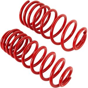 Cobra 00.7894 Sport Springs - Sport Springs Cobra 00.7894 Sport Springs - Sport Springs