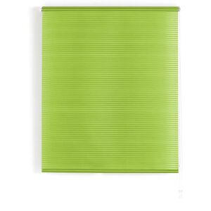 Tenda Rollata Iris Verde a Righe Traslucide - Copertura Finestra Tenda Rollata Iris Verde a Righe Traslucide - Copertura Finestra