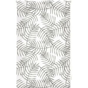 Blindecor Tropic Transparante Rolgordijn - 110x180 Blindecor Tropic Transparante Rolgordijn - 110x180