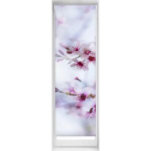 Estor Estampado Easyfix - 40x150 - Calma - Volet roulant Estor Estampado Easyfix - 40x150 - Calma - Volet roulant