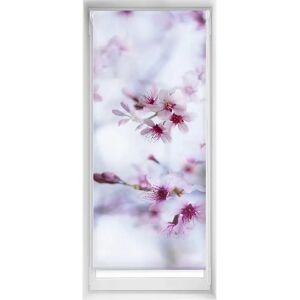 Märke Modell Genomskinlig miljövänlig ljusfiltrerande fönsterblind - Blindecor Märke Modell Genomskinlig miljövänlig ljusfiltrerande fönsterblind - Blindecor