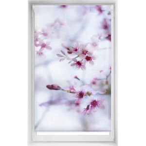 Estor Enrollable Calma - Tintas ecológicas - Translucido - Seguro infantil - 90x150cm Estor Enrollable Calma - Tintas ecológicas - Translucido - Seguro infantil - 90x150cm