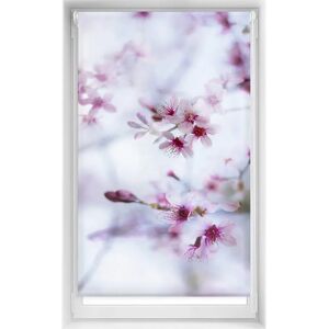 Easyfix transluzider Jalousie - 95x150 - Ohne Werkzeuge, ruhige Farbe - Rollladen Easyfix transluzider Jalousie - 95x150 - Ohne Werkzeuge, ruhige Farbe - Rollladen