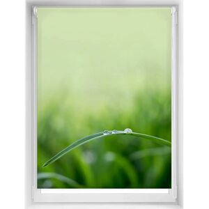 Blindecor Easyfix 100x150cm Translucenter Fensterrollo Blindecor Easyfix 100x150cm Translucenter Fensterrollo