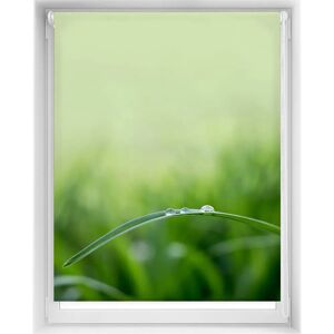 Tende a rullo Blindecor Easyfix - Traslucido, Senza Fori - 110x150cm Tende a rullo Blindecor Easyfix - Traslucido, Senza Fori - 110x150cm