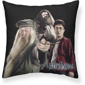 Play Fabrics Harry Team Cushion Cover - 50x50cm - Cushion Cover Harry Potter Play Fabrics Harry Team Cushion Cover - 50x50cm - Cushion Cover Harry Potter