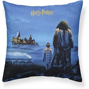 Copridivano Harry Potter 50x50 cm Multicolore - Copridivano Copridivano Harry Potter 50x50 cm Multicolore - Copridivano