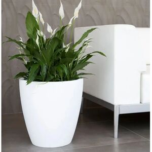 Poterie Wellhome Accord Ø50cm Résistante aux Chocs Légère - Pot de Fleurs - Publicité Poterie Wellhome Accord Ø50cm Résistante aux Chocs Légère - Pot de Fleurs - Publicité