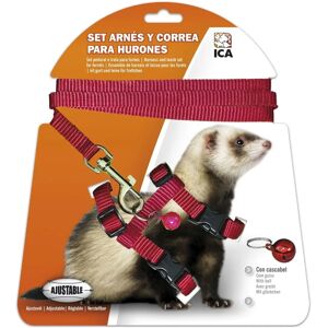 Ensemble harnais et laisse ICA - Rouge - Ensemble harnais et laisse - Publicité Ensemble harnais et laisse ICA - Rouge - Ensemble harnais et laisse - Publicité