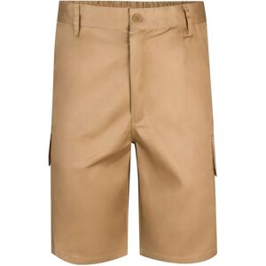 Velilla Bermuda Shorts - Tasche Multiple, Vita Elastica - Pantaloncini Velilla Bermuda Shorts - Tasche Multiple, Vita Elastica - Pantaloncini