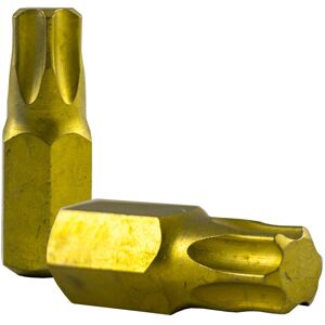Punta cacciavite T40 resistente - 30mm Punta cacciavite T40 resistente - 30mm