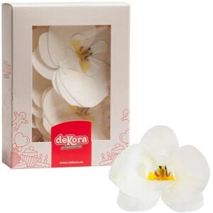Generische Weiße Orchideen Essbare Dekorationen Generische Weiße Orchideen Essbare Dekorationen