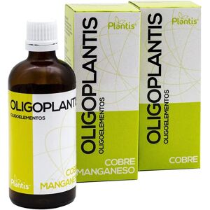 Plantis Oligoginkgo 100 ml - Nahrungsergänzungsmittel Plantis Oligoginkgo 100 ml - Nahrungsergänzungsmittel
