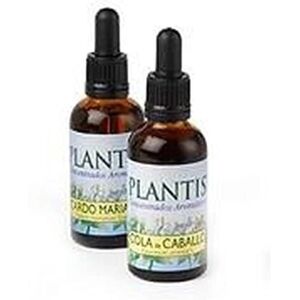 Plantis Beech Eco Floral Elixir - 10 ml Plantis Beech Eco Floral Elixir - 10 ml