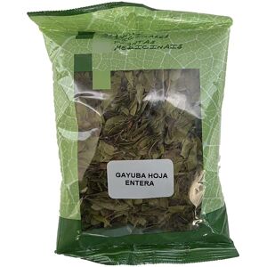 Plameca Bearberry Herb Leaf - Herb Leaf - Natural Herb Supplement Plameca Bearberry Herb Leaf - Herb Leaf - Natural Herb Supplement