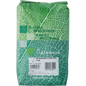 Plameca Schafgarbe Blume zerkleinert - Kräutertee Plameca Schafgarbe Blume zerkleinert - Kräutertee