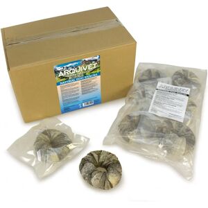 Natuurlijke kabeljauw honden snacks - 24 stuks - Tandverzorging treats voor honden Natuurlijke kabeljauw honden snacks - 24 stuks - Tandverzorging treats voor honden