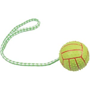 Arquivet Modell 20 cm mit texturiertem Ball & Zugseil - Hundespielzeug Arquivet Modell 20 cm mit texturiertem Ball & Zugseil - Hundespielzeug
