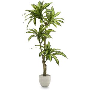 MAIA SHOP Dracaena Artificial Plant - 170 cm MAIA SHOP Dracaena Artificial Plant - 170 cm