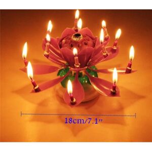 Bougie d'anniversaire musicale Lotus Double Romantique LG-EXPRO - Bougie - Publicité Bougie d'anniversaire musicale Lotus Double Romantique LG-EXPRO - Bougie - Publicité