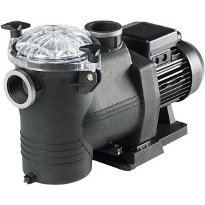 Astralpool - Pompe de filtration auto-aspirante 1 HP - 15,5 m3/h - Pompe piscine - Publicité Astralpool - Pompe de filtration auto-aspirante 1 HP - 15,5 m3/h - Pompe piscine - Publicité