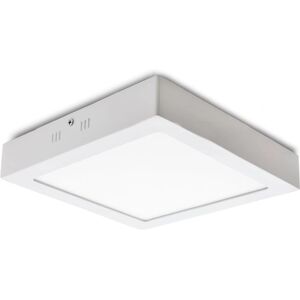 GREENICE Luce LED da Soffitto - 24W, 1900Lm, 6000K, IP25 GREENICE Luce LED da Soffitto - 24W, 1900Lm, 6000K, IP25