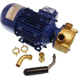 GoldenShip 12V Electric Water Pump - Self-Priming, Bronze, 25 L/min GoldenShip 12V Electric Water Pump - Self-Priming, Bronze, 25 L/min