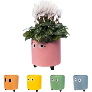 FISURA Vaso de cerâmica com olhos - Decoração de casa para plantas FISURA Vaso de cerâmica com olhos - Decoração de casa para plantas
