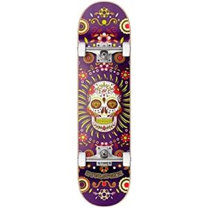 Hydroponic Skateboard Mexican Co 8.125 - Lila - Publicité Hydroponic Skateboard Mexican Co 8.125 - Lila - Publicité